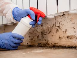 Mold Remediation for Vacation Homes in Stony Prairie, OH